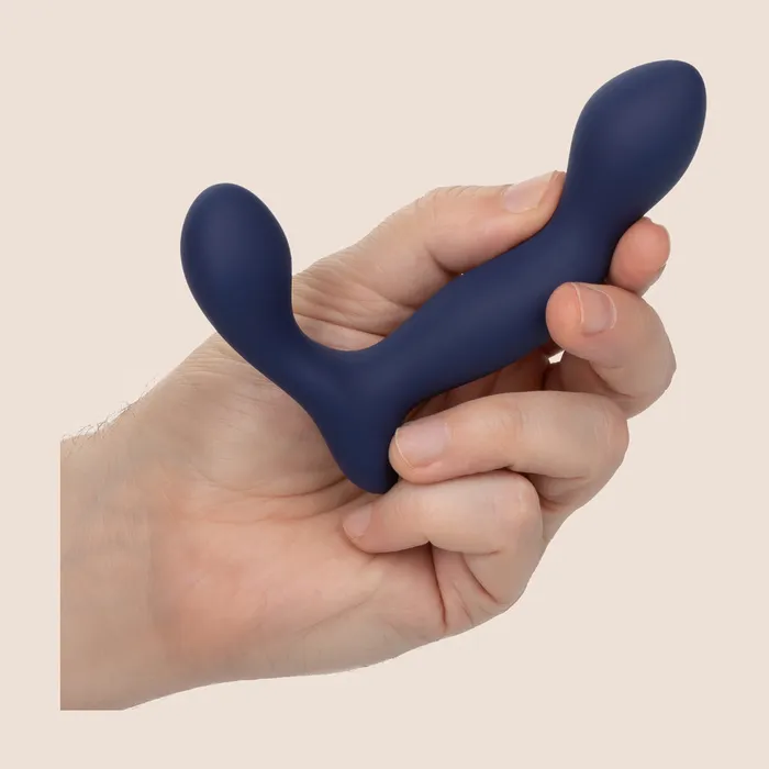Anal California Exotic Novelties LLC Viceroy Expert Probe silicone anal probe