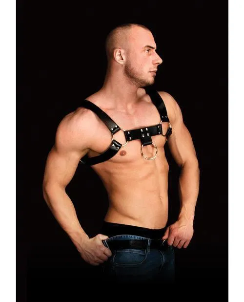 Shots America LLC Shots Ouch Costas Solid Structure 1 Body Harness Black Anal