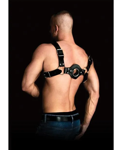 Shots America LLC Shots Ouch Costas Solid Structure 1 Body Harness Black Anal
